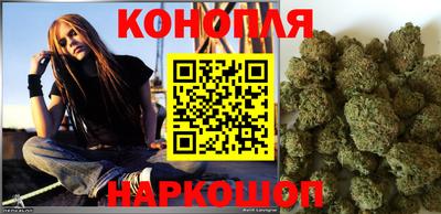 крисы Нальчик
