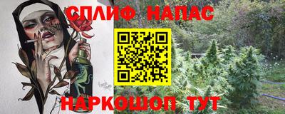 крисы Нальчик