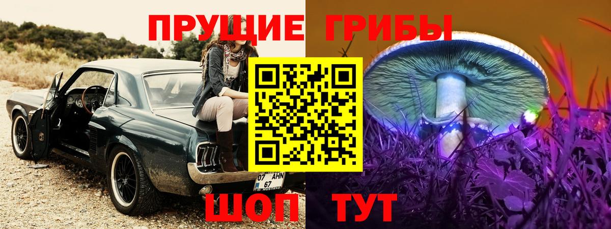 Рубцовск  купить  сайты  Вход с VPN  Галлюциногенные грибы GOLDEN TEACHER  Галлюциногенные грибы MAGIC MUSHROOMS 