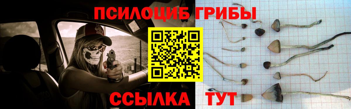 Галлюциногенные грибы прущие грибы Рубцовск